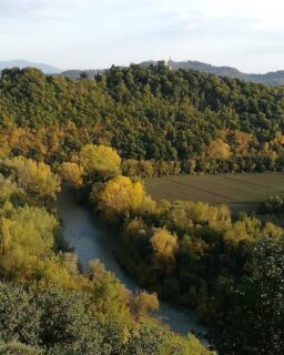 La valle del Tevere da Montemolino
Foto di Simonetta Fontani
________________________
Segui l'hashtag #aboutyourumbrianovembre2022 e vota la tua foto preferita! Lo scatto con più like diventerà la copertina Facebook di dicembre di #AboutUmbria!
Le votazioni si chiudono il 30 novembre 2022
#umbria #picoftheday #umbriainunoscatto #discoverumbria #montemolino #fiumetevere
