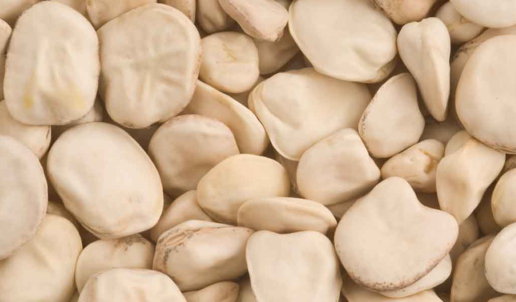 Cicerchia