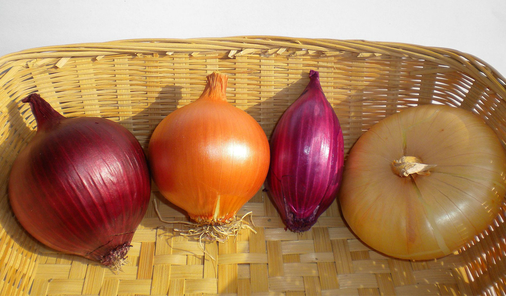 Cipolla di Cannara