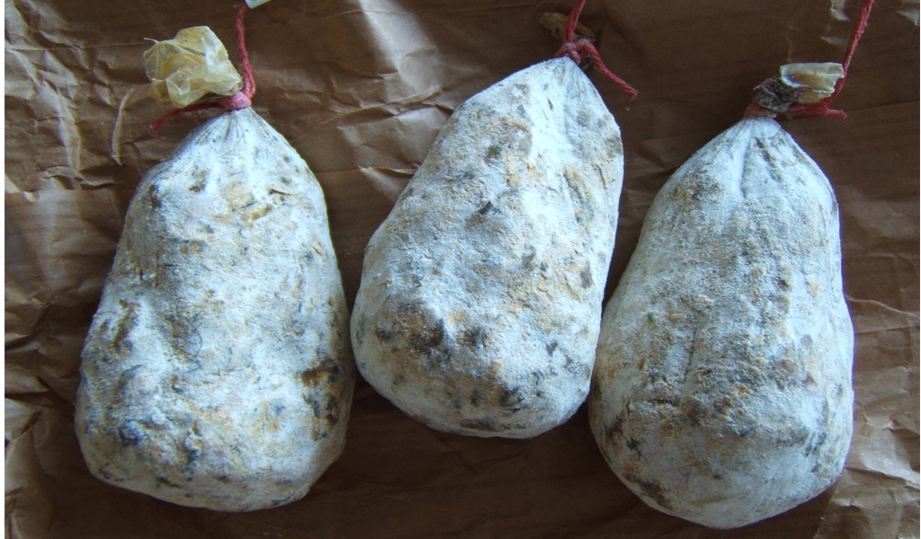 Coglioni di Mulo