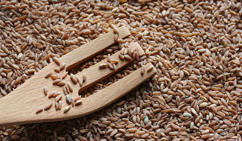 Farro di Monteleone di Spoleto