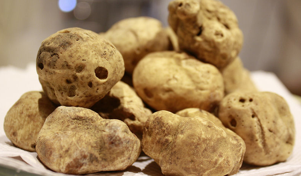 Tartufo bianco pregiato