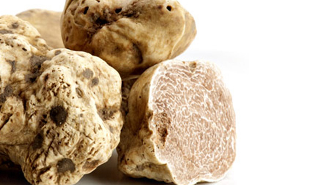 Tartufo bianco pregiato
