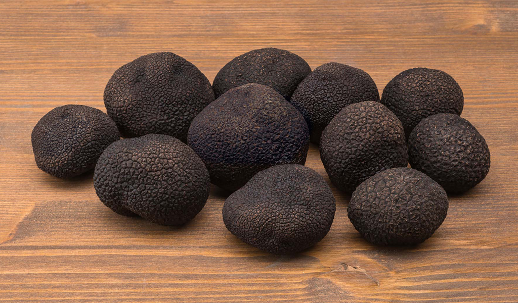 Tartufo nero pregiato