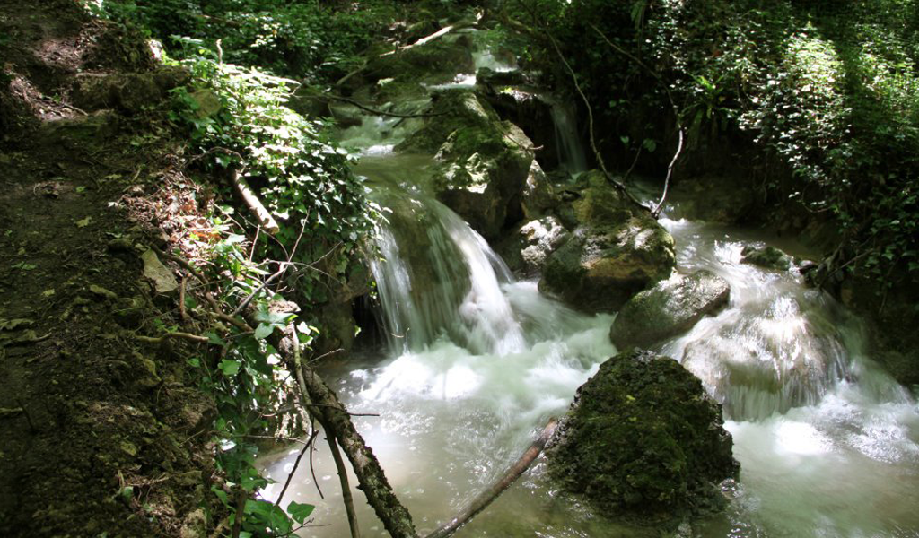 Le Sorgenti
