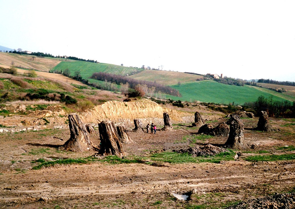 Foresta fossile di Dunarobba Avigliano Umbro