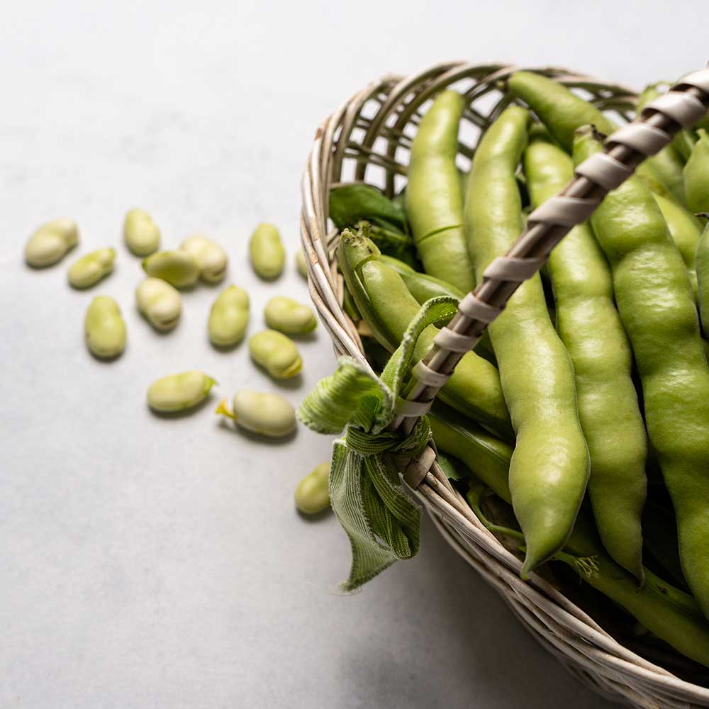 Fava cottòra dell’Amerino