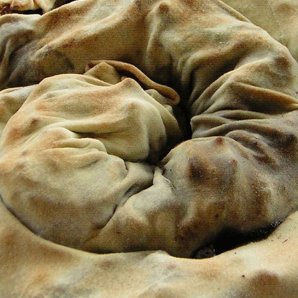 Rocciata