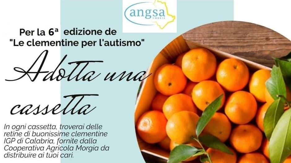 “Adotta una cassetta”, le clementine per l’autismo di ANGSA. Umbria alla sua 6° edizione