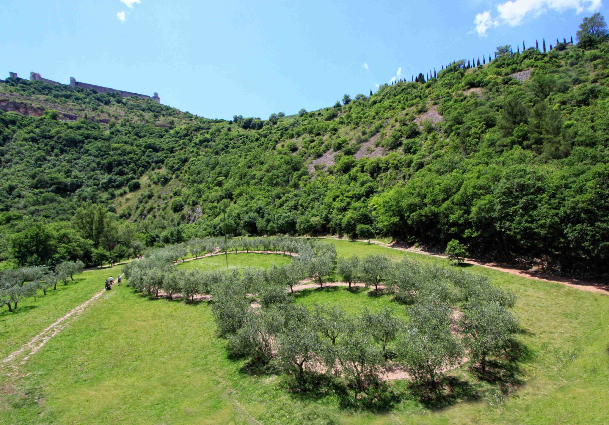 Camminate nella biodiversità, visite speciali al Bosco di San Francesco ad Assisi