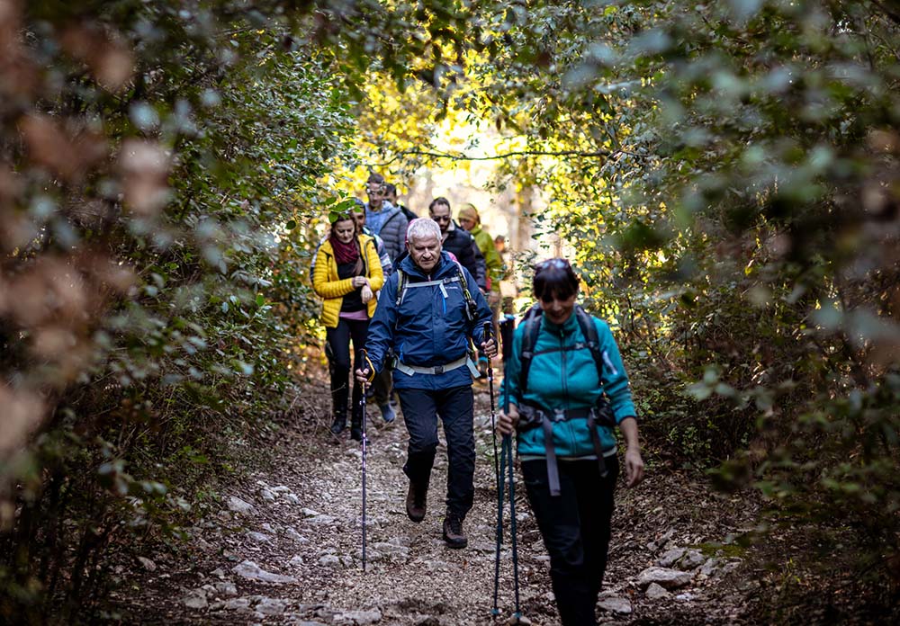 “Passeggiate & Buon Gusto” tra borghi, ulivi e fattorie nel territorio di Montecchio