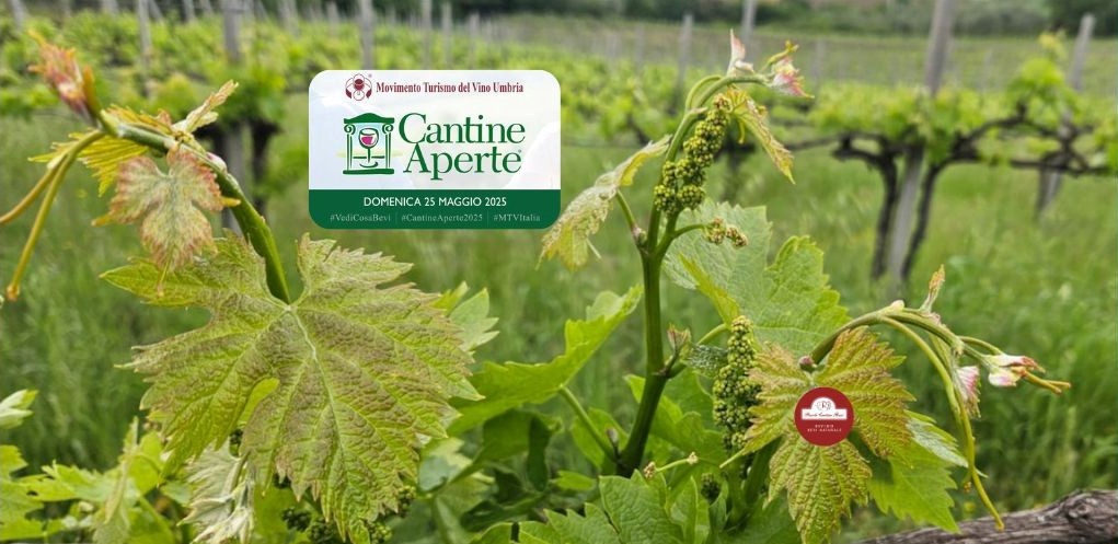 Cantine Aperte 2025: un giorno di magia nella natura