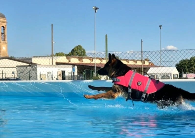 Tutti in piscina con la Gara SwimDogSport: il 26 e 27 luglio a RandaPool