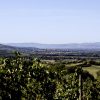 Torgiano Winter, da ottobre a marzo tanti gli appuntamenti in programma