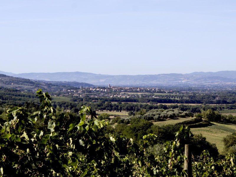 Torgiano Winter, da ottobre a marzo tanti gli appuntamenti in programma