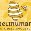Torna “Mielinumbria”, la rassegna dedicata al miele e agli apicoltori
