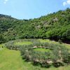 Camminate nella biodiversità, visite speciali al Bosco di San Francesco ad Assisi