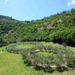 Camminate nella biodiversità, visite speciali al Bosco di San Francesco ad Assisi