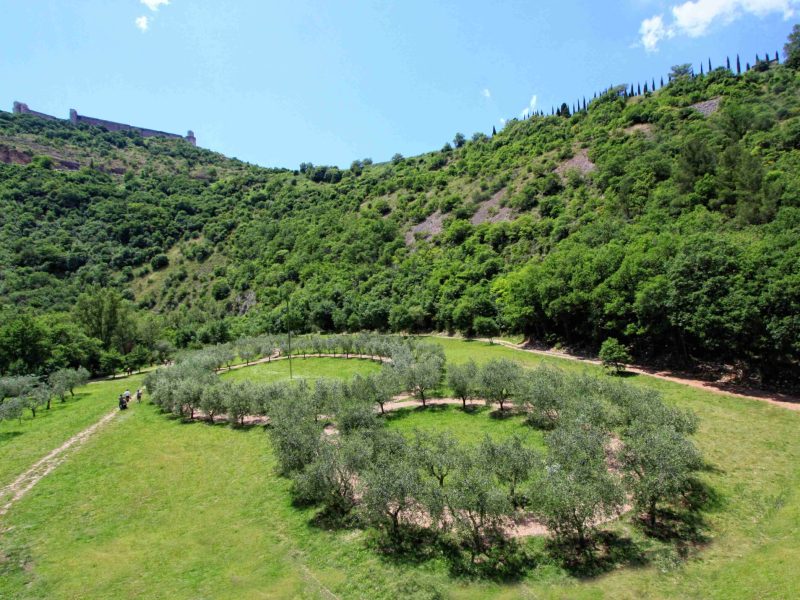 Camminate nella biodiversità, visite speciali al Bosco di San Francesco ad Assisi