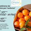 “Adotta una cassetta”, le clementine per l’autismo di ANGSA. Umbria alla sua 6° edizione