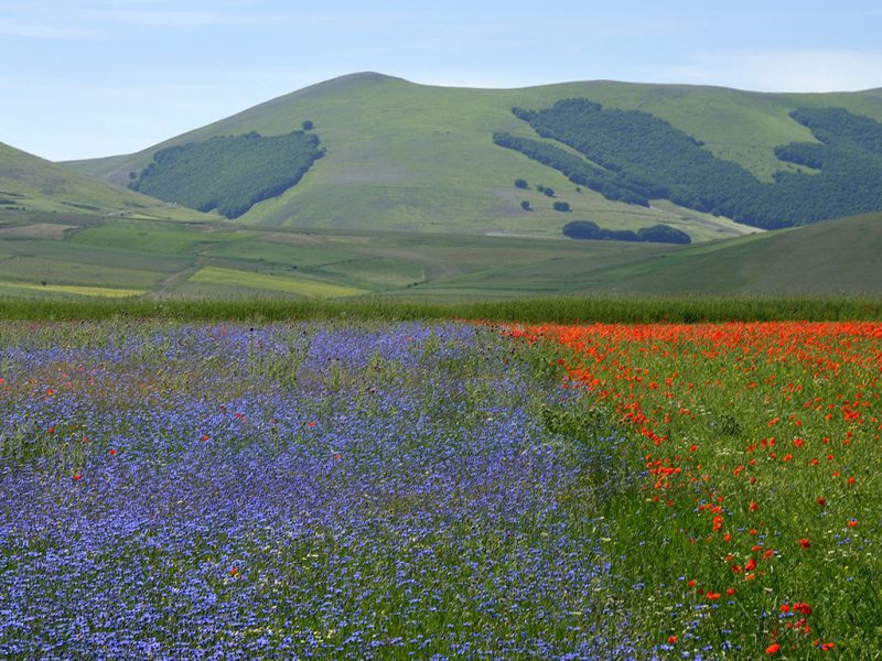 Idee di viaggio per scoprire la Valnerina