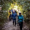 “Passeggiate & Buon Gusto” tra borghi, ulivi e fattorie nel territorio di Montecchio