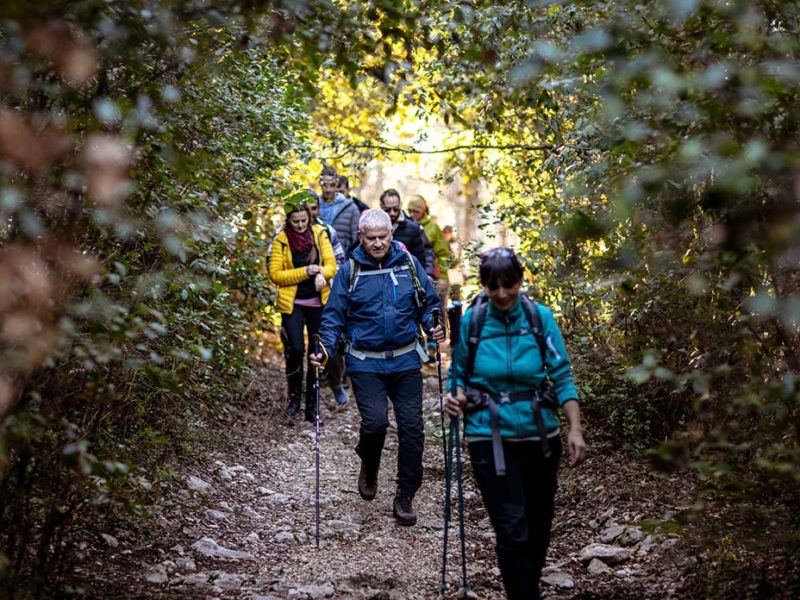 “Passeggiate & Buon Gusto” tra borghi, ulivi e fattorie nel territorio di Montecchio