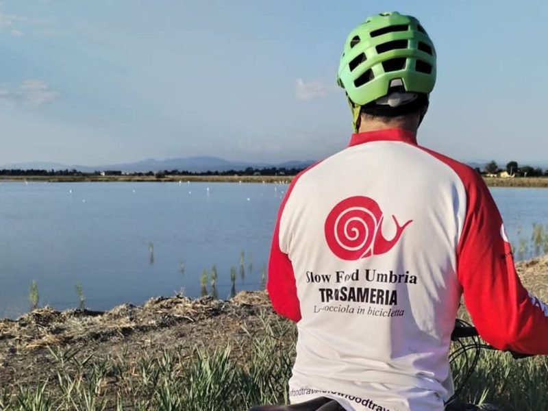 Romea Germanica: l’antica via di pellegrinaggio, oggi si può ripercorrere a piedi o in bici