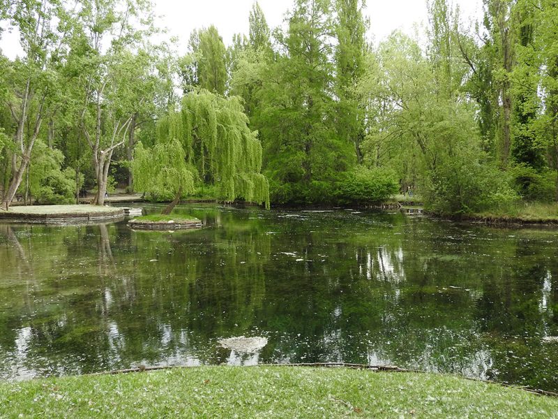 Campello sul Clitunno, acqua e olio