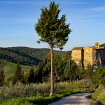 All’ombra del Castello di Collemancio