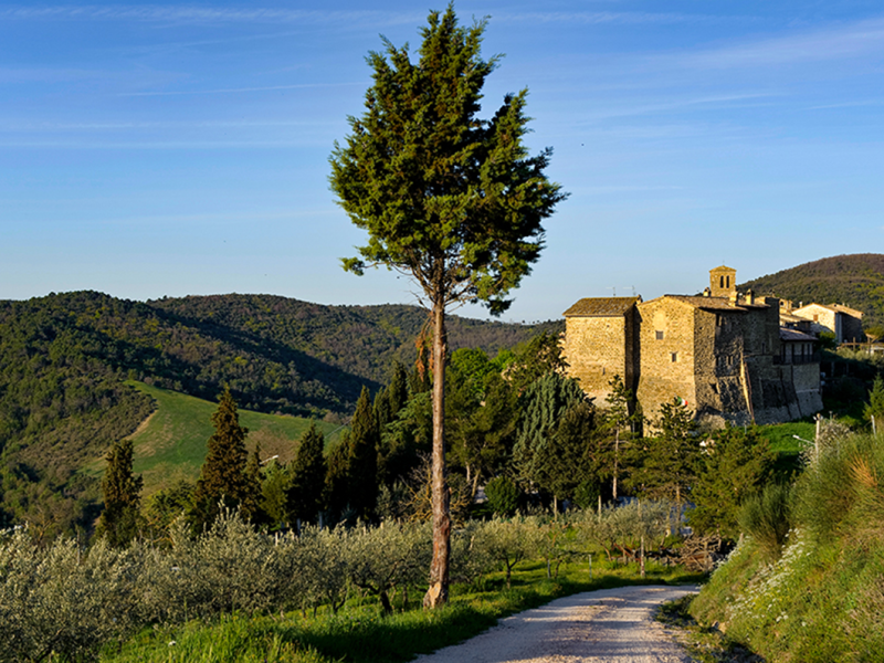 All’ombra del Castello di Collemancio