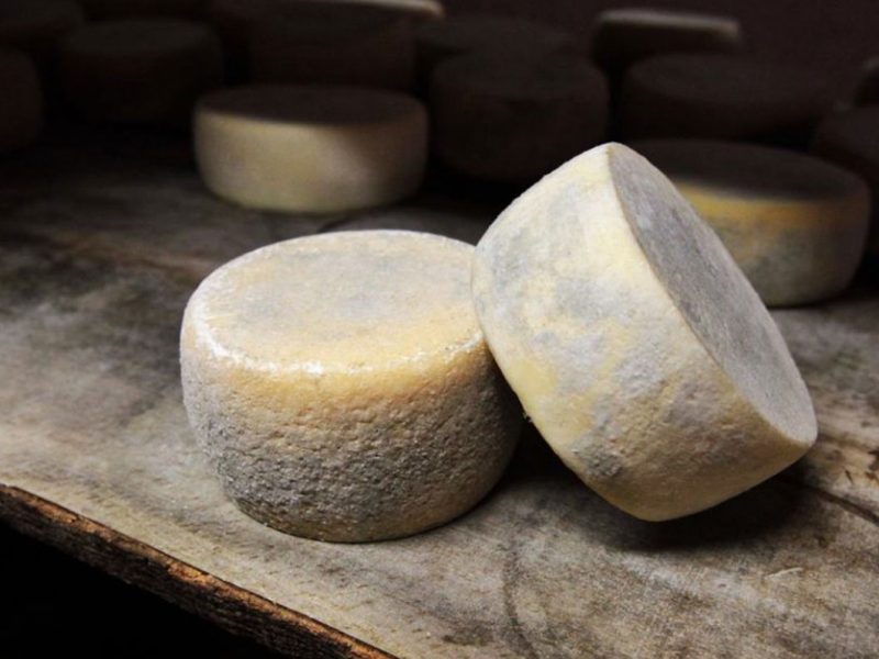I fasti delle civiltà pastorali